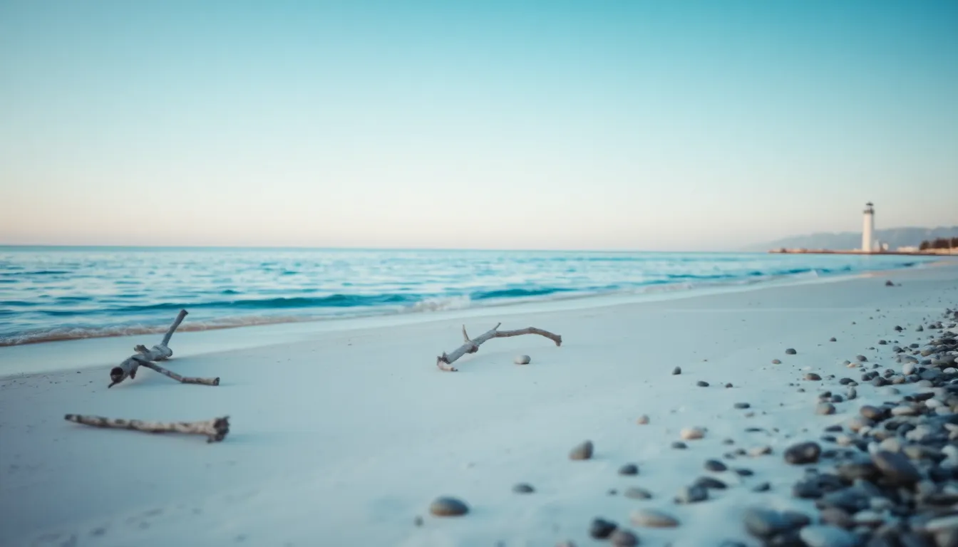 양양 서핑 해변의 활기찬 풍경