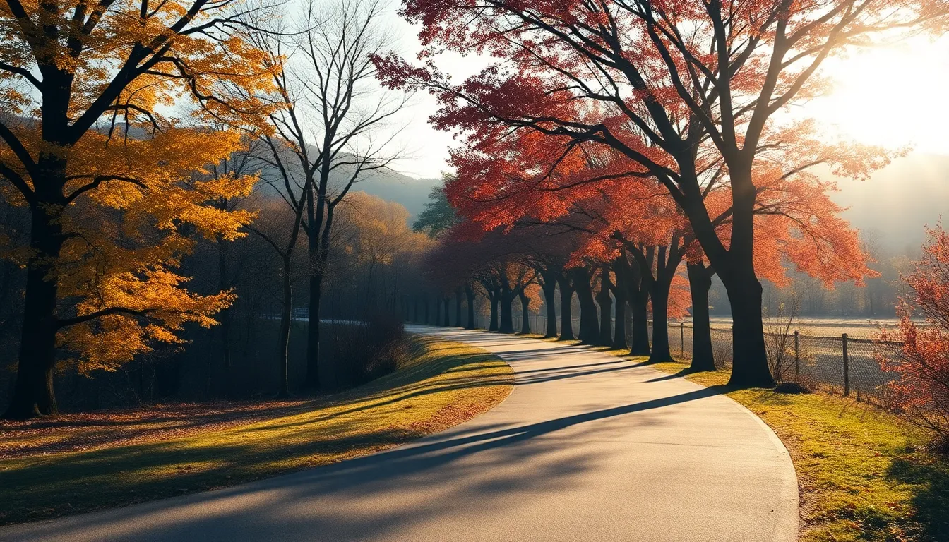 가평의 아름다운 호수 풍경과 수상 레저 활동