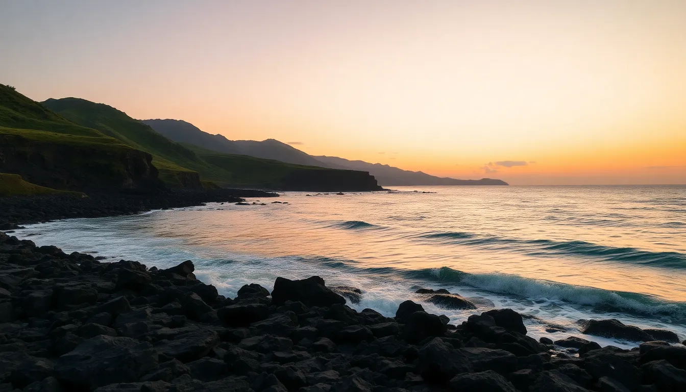 제주 해변에서 쉬고 있는 사람들