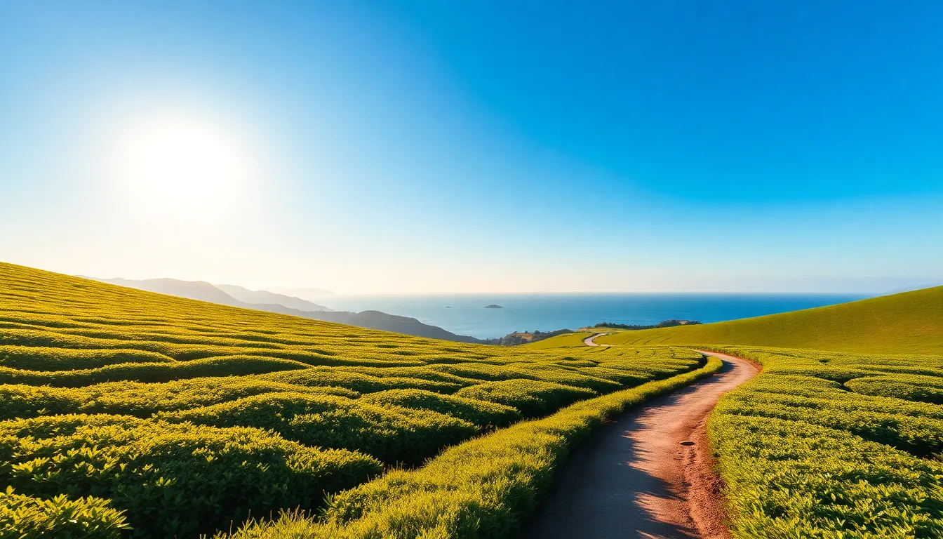 제주도 해변 풍경