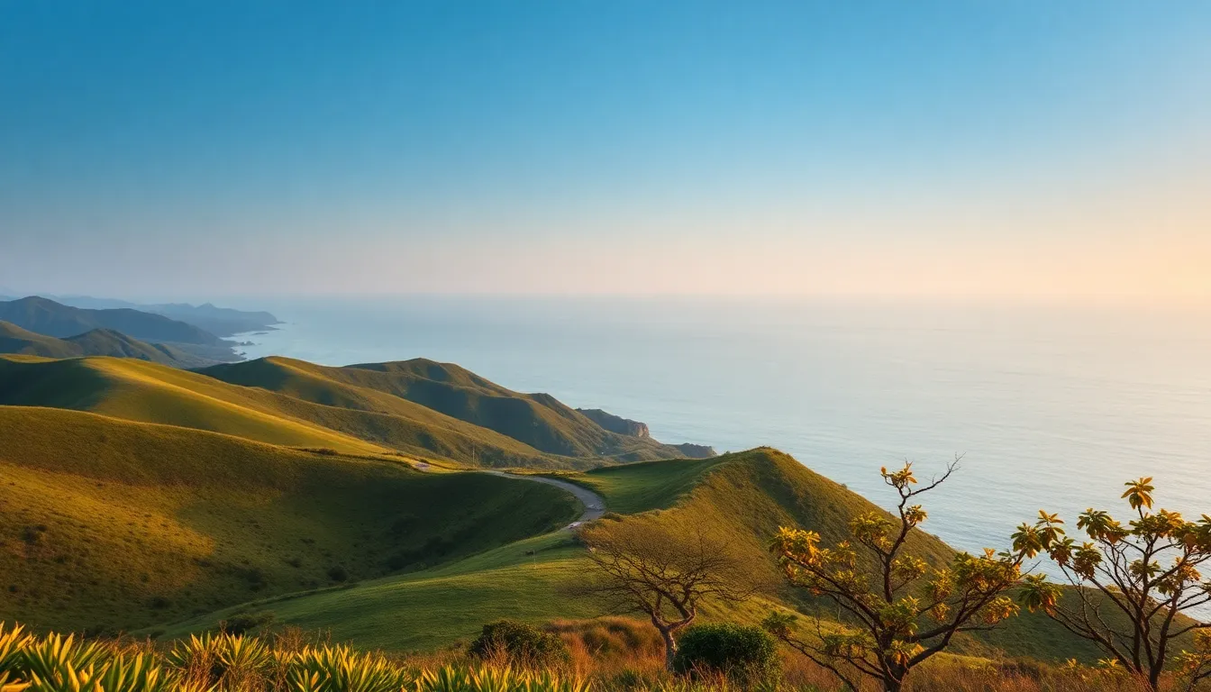제주도 커플 여행 풍경